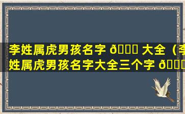 李姓属虎男孩名字 🍁 大全（李姓属虎男孩名字大全三个字 🐒 ）